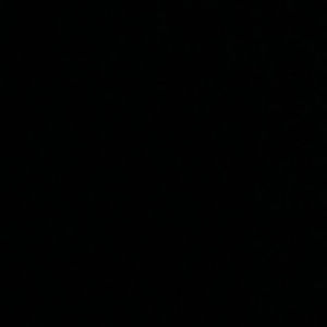 Meet your Posher, Sebastiàn jose